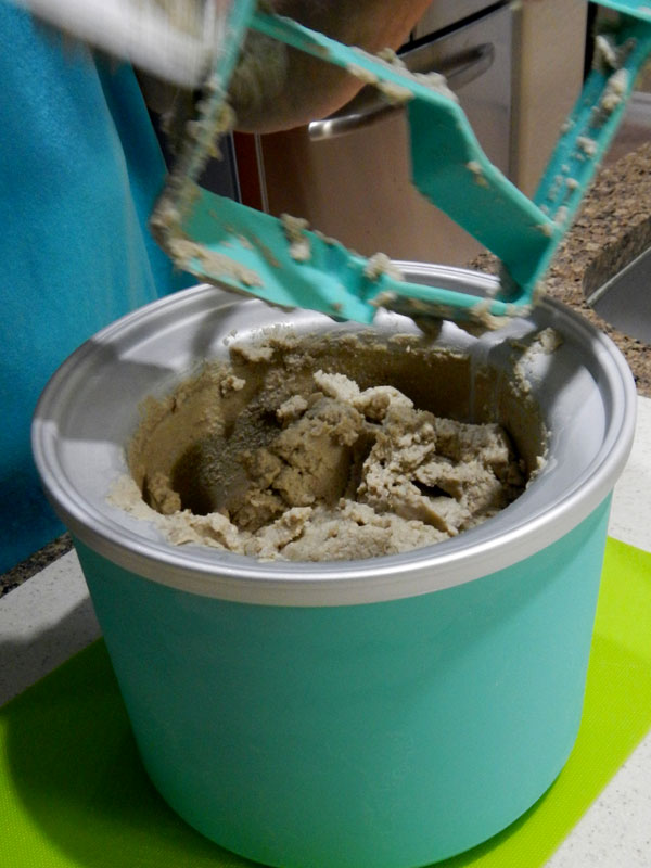 /2012/08/vegan-mint-chip-ice-cream/images/mintchipdasher.jpg