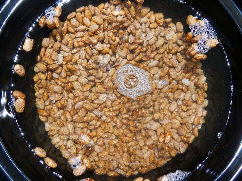 /2012/09/crockpot-unfried-pinto-beans/images/basicpintofloaters.jpg