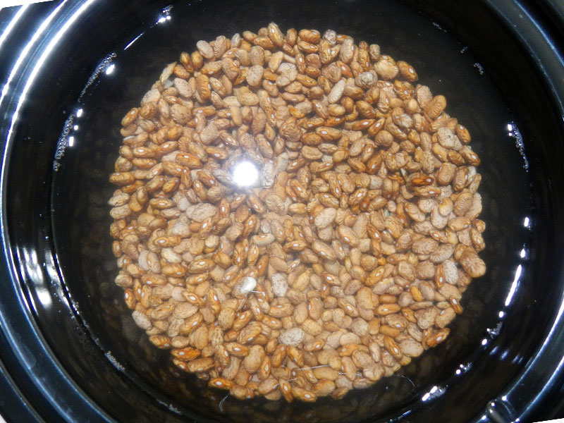 /2012/09/crockpot-unfried-pinto-beans/images/basicpintonofloaters.jpg