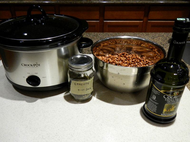 /2012/09/crockpot-unfried-pinto-beans/images/basicpintosetup.jpg