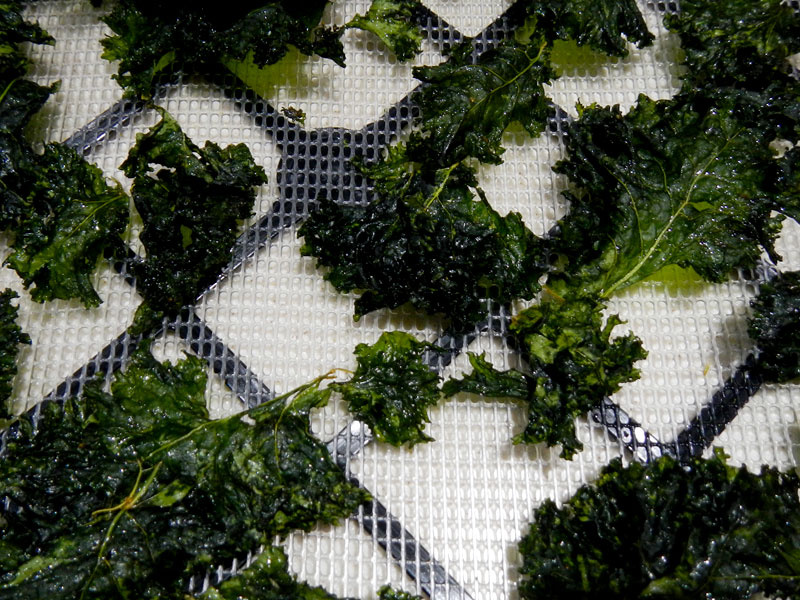 /2012/09/kale-chips/images/kalechipsclose.jpg