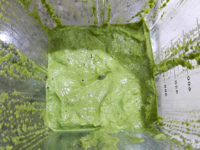 /2012/10/spinach-pesto/images/sppestoblenderdone.jpg